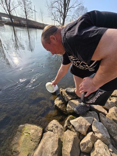 Aalbesatz in der Erlanger Regnitz