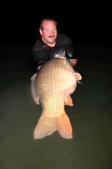 Schuppenkarpfen mit 31kg