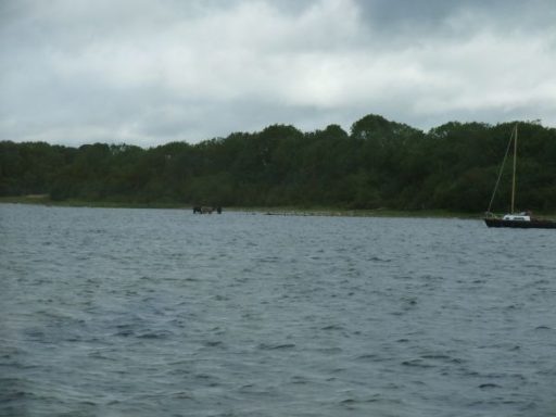 Angeln vom Boot in Irland