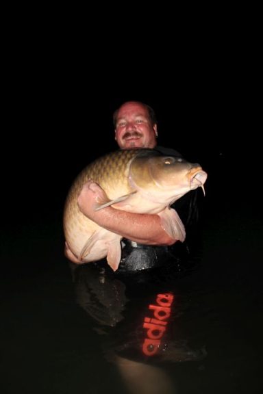 Schuppenkarpfen mit 31kg