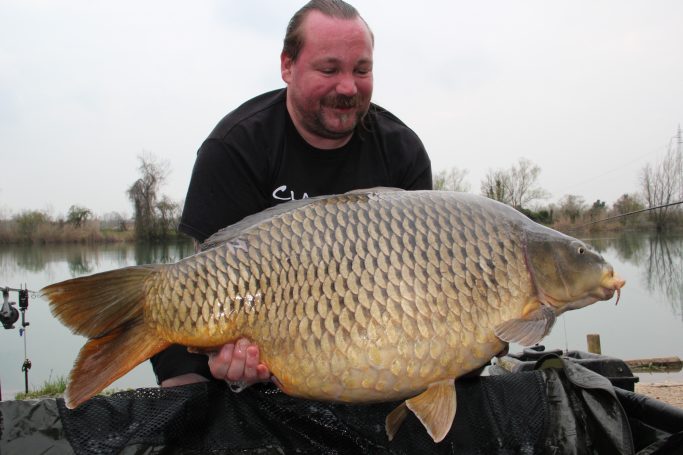 Schuppenkarpfen mit 26,2kg