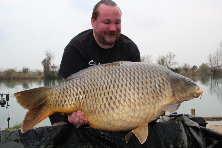 26,8kg
